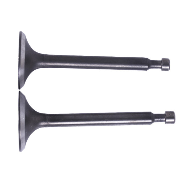 Клапаны, к-т: 2 шт. - 168F - TTG