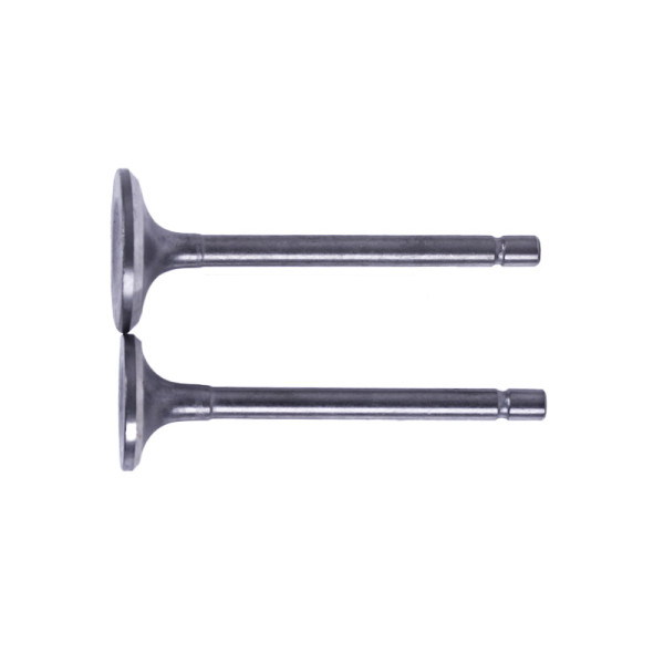 Клапани, к-т: 2 шт. - 178F YBX