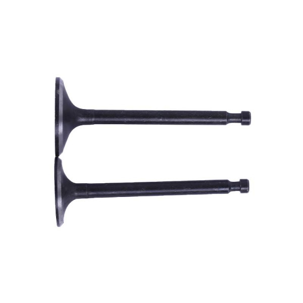 Клапаны, к-т: 2 шт. - 188F YBX