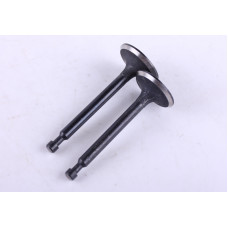Клапаны, к-т: 2 шт. - 168F - Premium