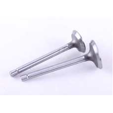 Клапаны, к-т: 2 шт. - 178F - Premium
