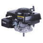 Двигун TT 1P65F (з вертикальним валом) 5.5 л.с.