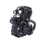 Двигатель (BL170 ММ) - CG300 с водяным охлаждением
