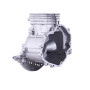 Блок двигателя 65 мм - P65F (ZS)